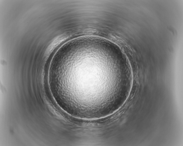 X0000091100242200708131111