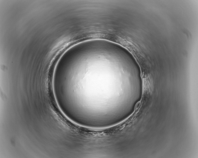 X0000091100243200708131111