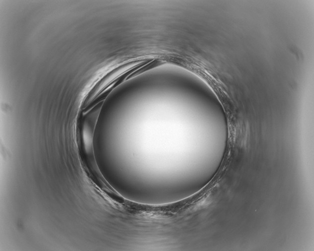 X0000091100244200708131111