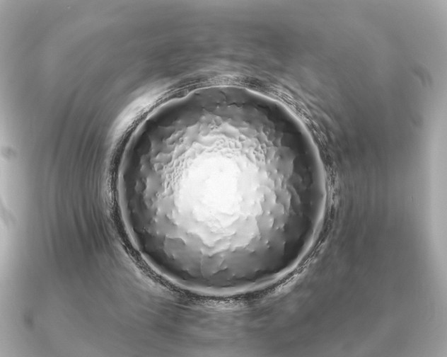 X0000091100245200708131111