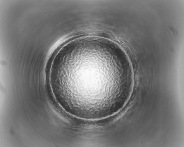 X0000091100246200708131111