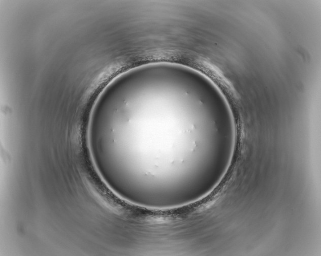 X0000091100250200708131111