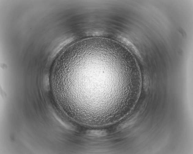 X0000091100251200708131111