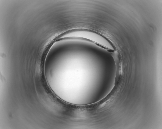 X0000091100252200708131111