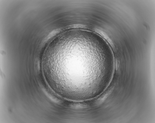 X0000091100253200708131111