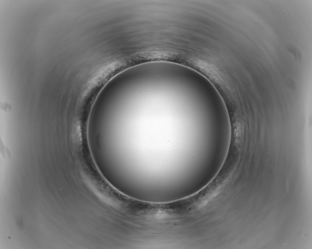 X0000091100254200708131111