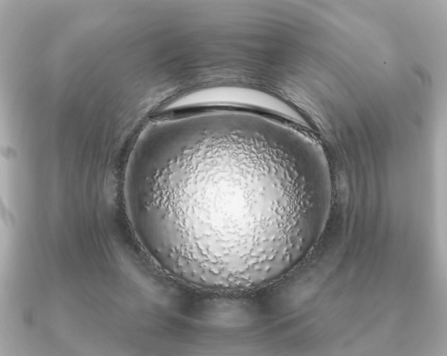 X0000091100255200708131111