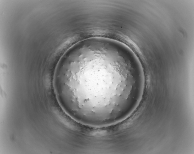 X0000091100257200708131111