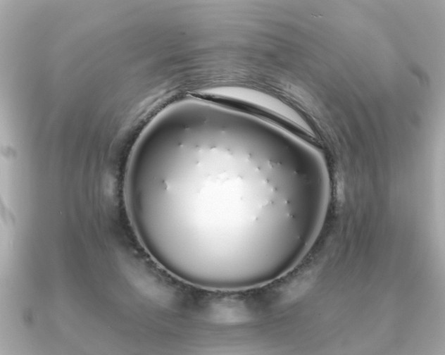 X0000091100258200708131111