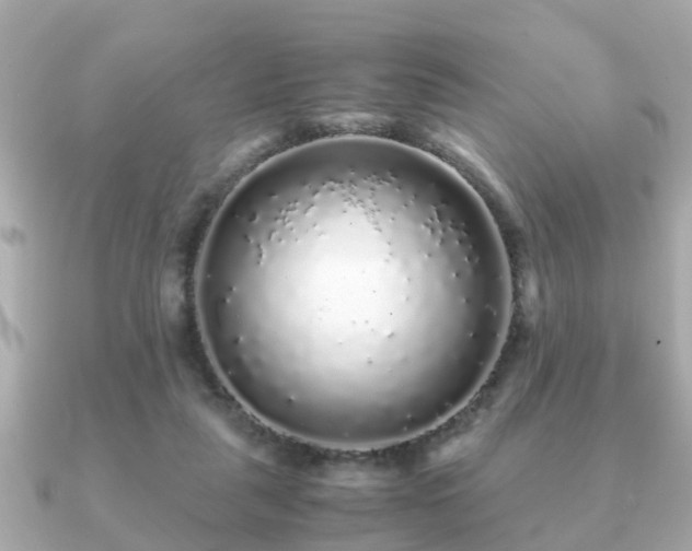 X0000091100259200708131111