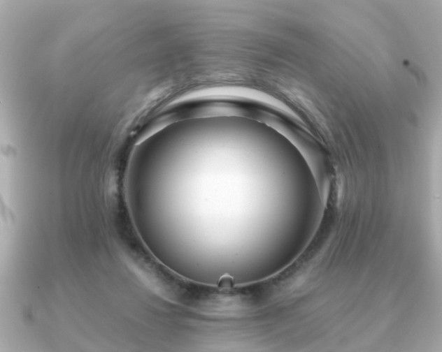 X0000091100260200708131111