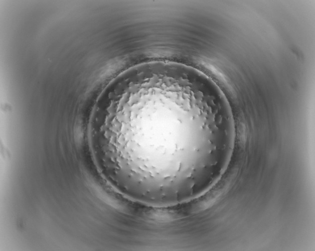 X0000091100261200708131111