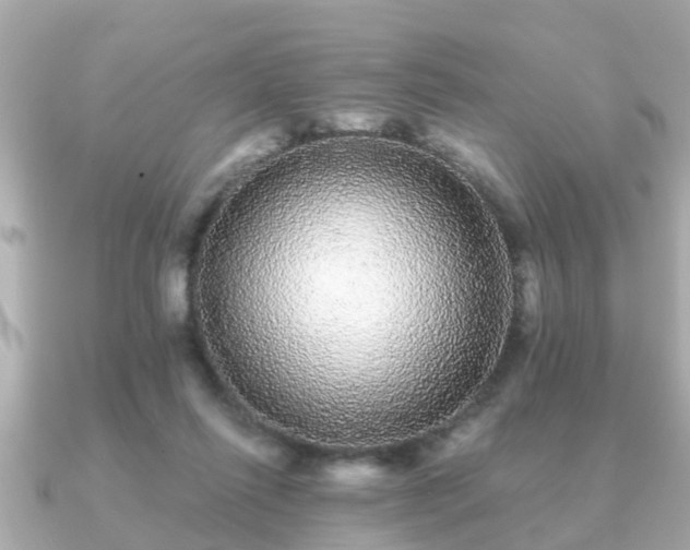 X0000091100262200708131111