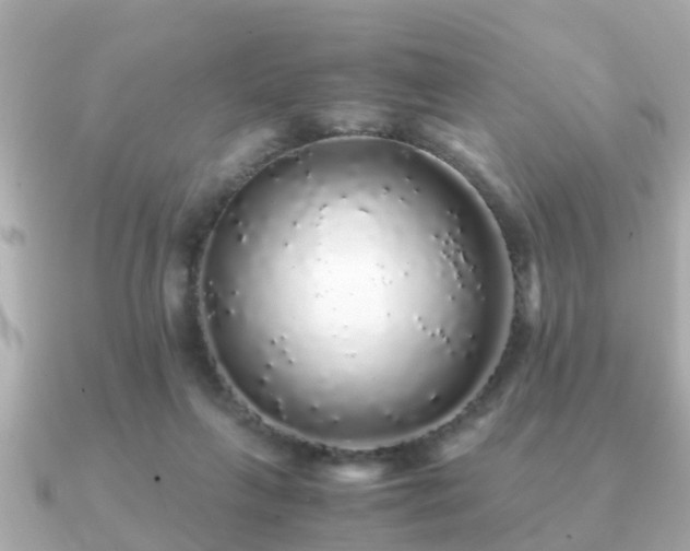 X0000091100263200708131111