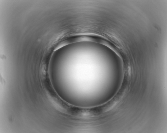 X0000091100264200708131111