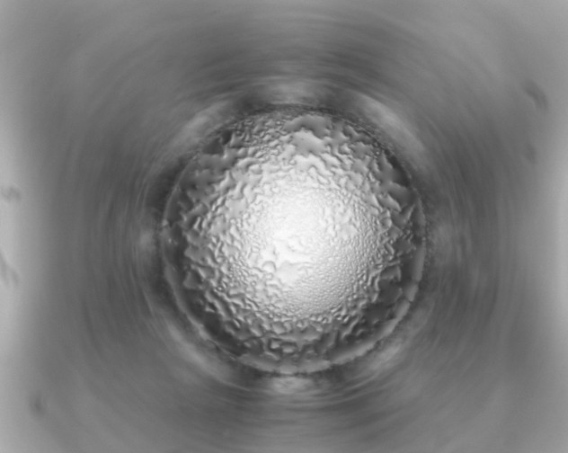 X0000091100265200708131111