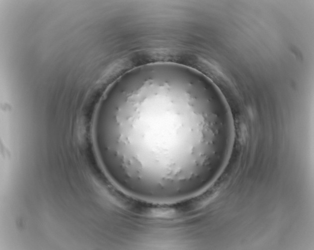 X0000091100266200708131111