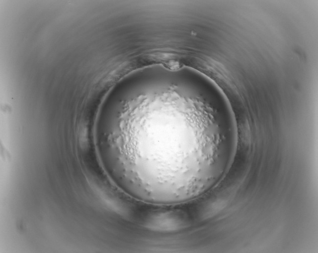 X0000091100267200708131111