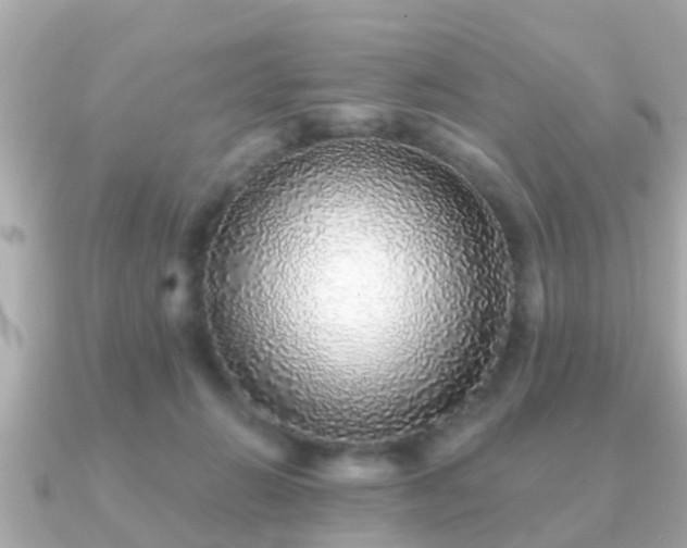 X0000091100270200708131111