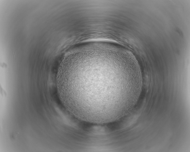 X0000091100272200708131111