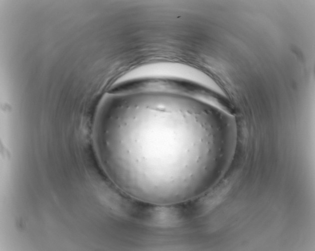 X0000091100273200708131111