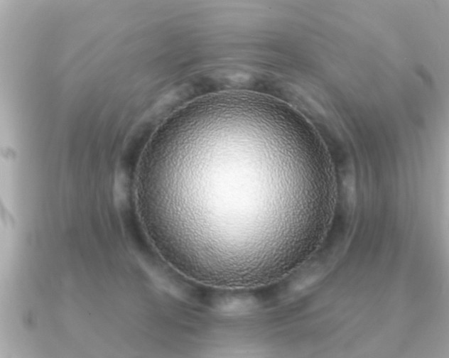 X0000091100274200708131111