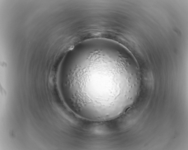 X0000091100275200708131111