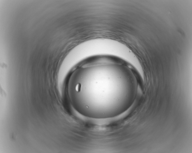 X0000091100276200708131111