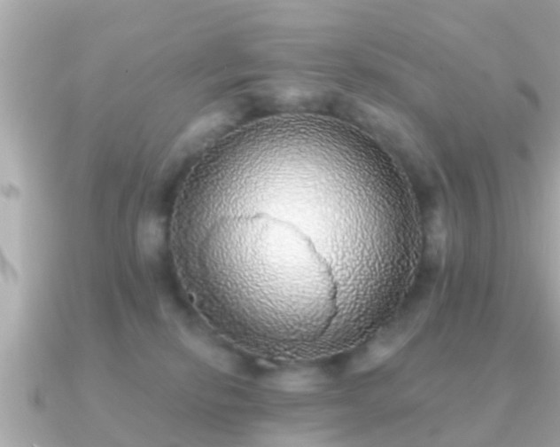 X0000091100278200708131111