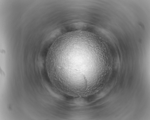 X0000091100279200708131112