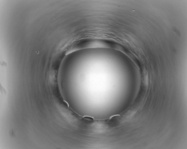 X0000091100280200708131112