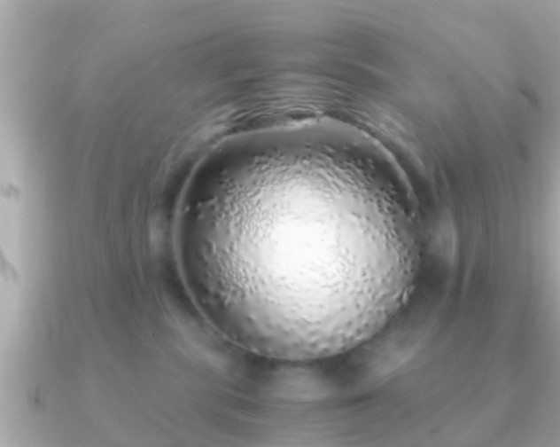 X0000091100283200708131112