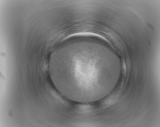 X0000091100284200708131112