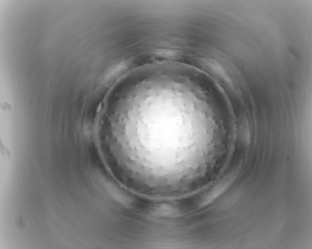 X0000091100285200708131112