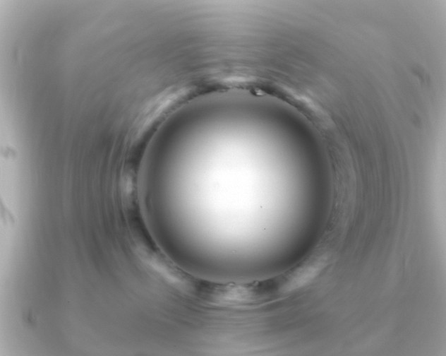 X0000091100288200708131112