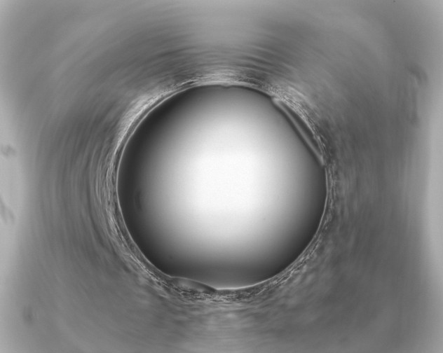 X0000091100289200708131111