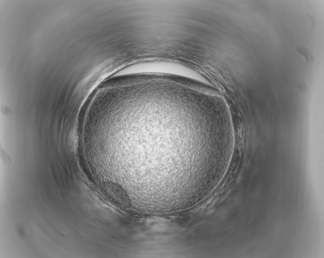 X0000091100290200708131111