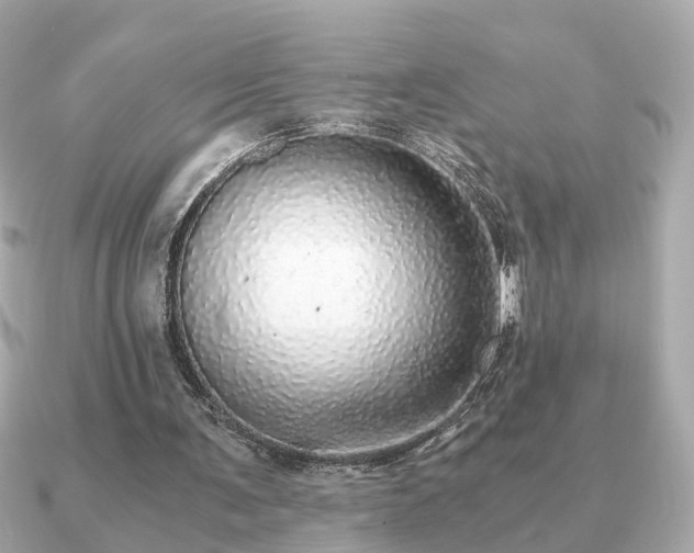 X0000091100291200708131111