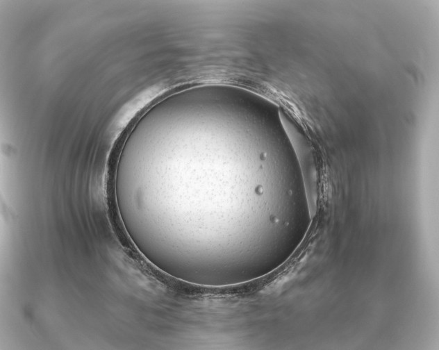 X0000091100292200708131111