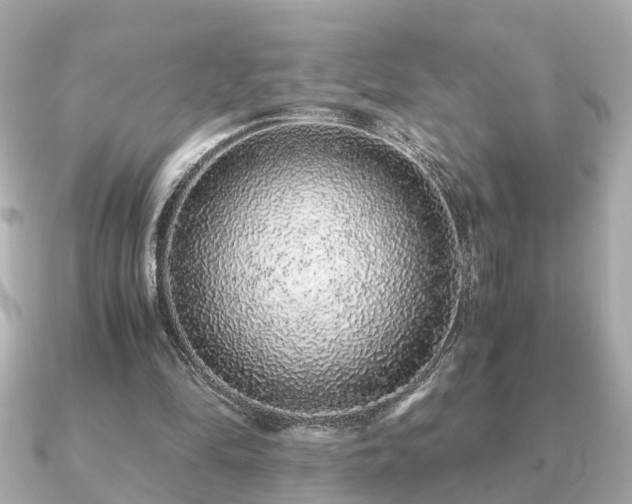 X0000091100294200708131111