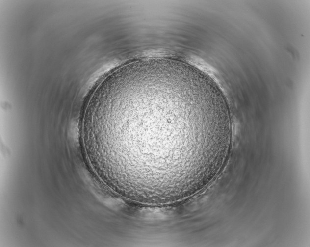 X0000091100297200708131111