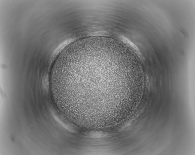 X0000091100298200708131111