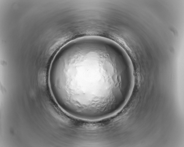 X0000091100299200708131111