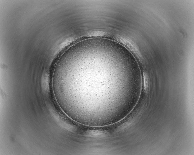 X0000091100300200708131111