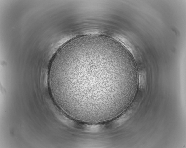 X0000091100301200708131111