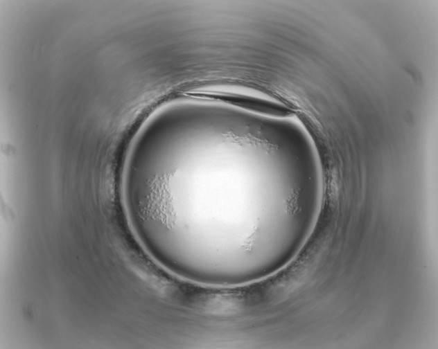 X0000091100303200708131111