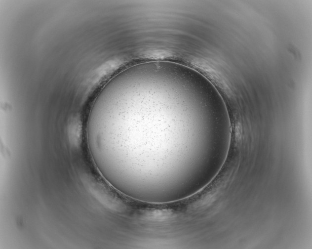 X0000091100304200708131111