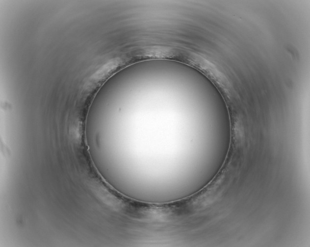 X0000091100305200708131111