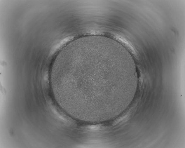 X0000091100306200708131111