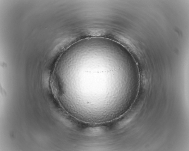 X0000091100307200708131111